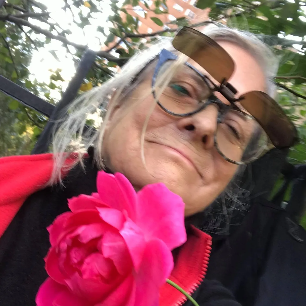 Visit Website Writer Alison Leslie Gold who regularly works on Hydra Island Greece.