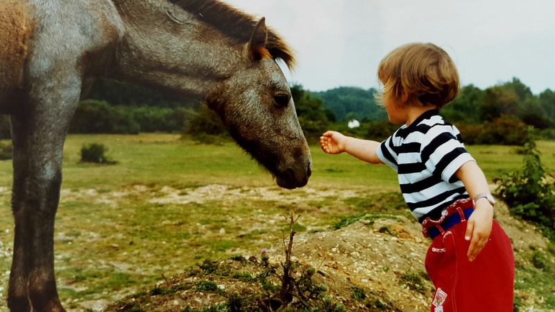Horse treks on Hydra Island Greece with Harriet Jarman of Harrie's Hydra Horses