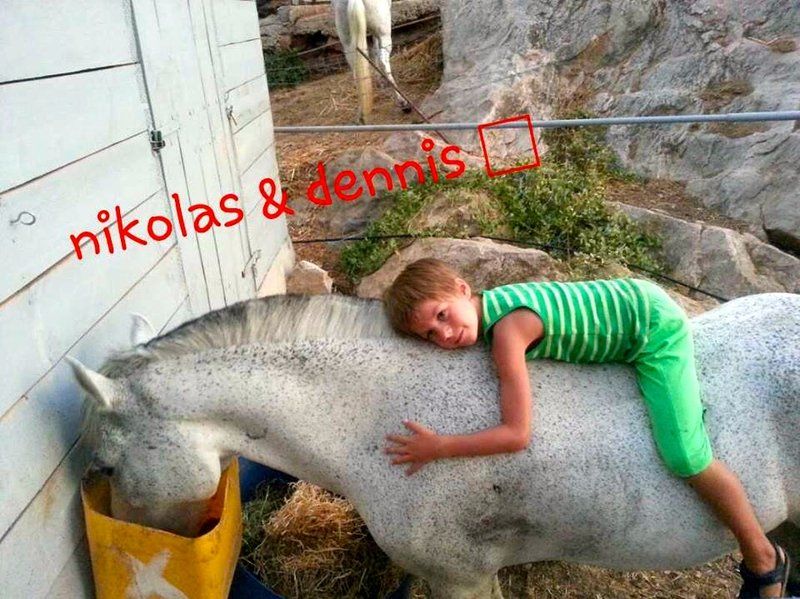 Horse treks on Hydra Island Greece with Harriet Jarman of Harrie's Hydra Horses