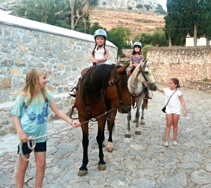 Horse treks on Hydra Island Greece with Harriet Jarman of Harrie's Hydra Horses