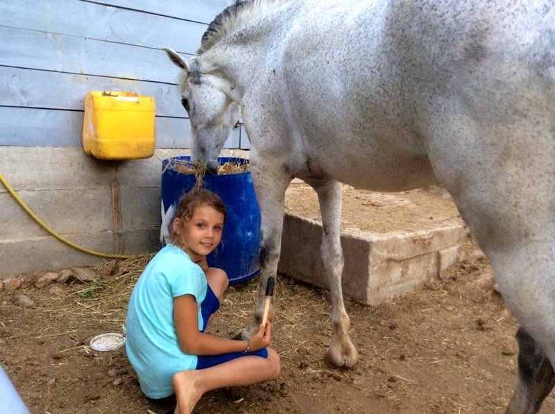 Horse treks on Hydra Island Greece with Harriet Jarman of Harrie's Hydra Horses
