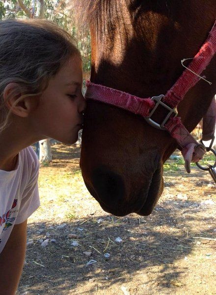 Horse treks on Hydra Island Greece with Harriet Jarman of Harrie's Hydra Horses