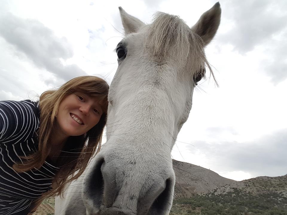 Horse treks on Hydra Island Greece with Harriet Jarman of Harrie's Hydra Horses