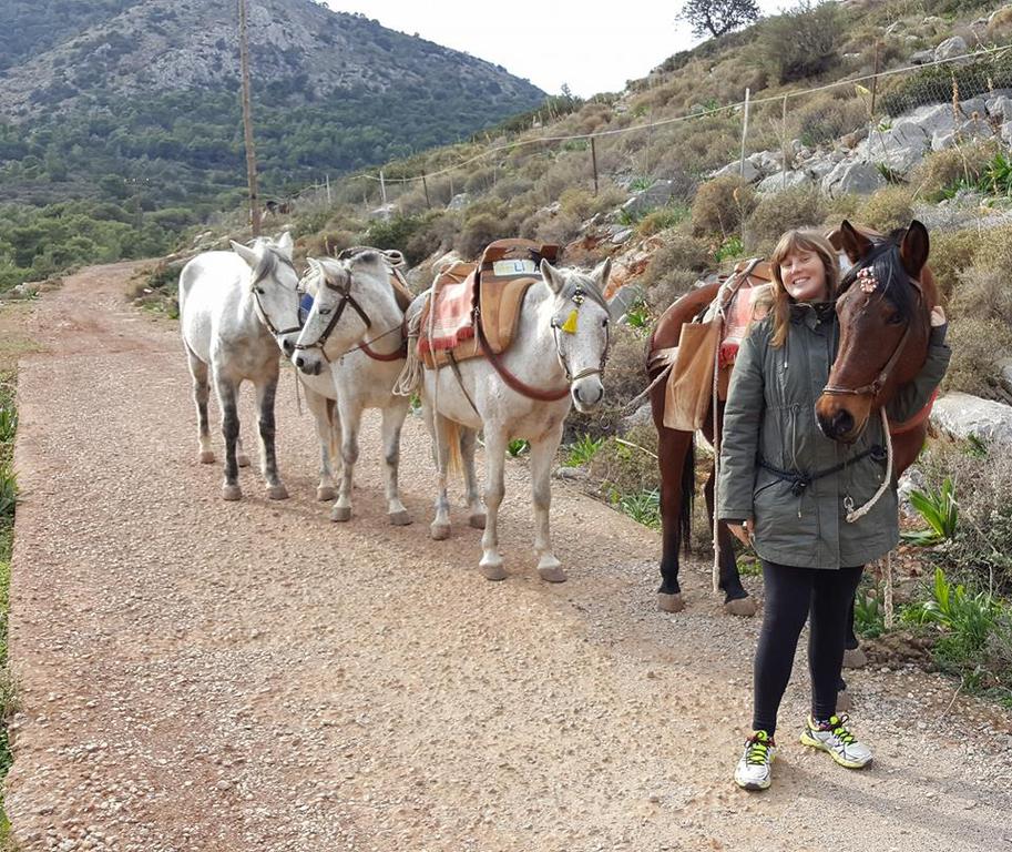 Horse treks on Hydra Island Greece with Harriet Jarman of Harrie's Hydra Horses