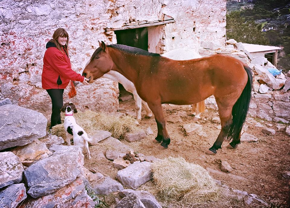Horse treks on Hydra Island Greece with Harriet Jarman of Harrie's Hydra Horses
