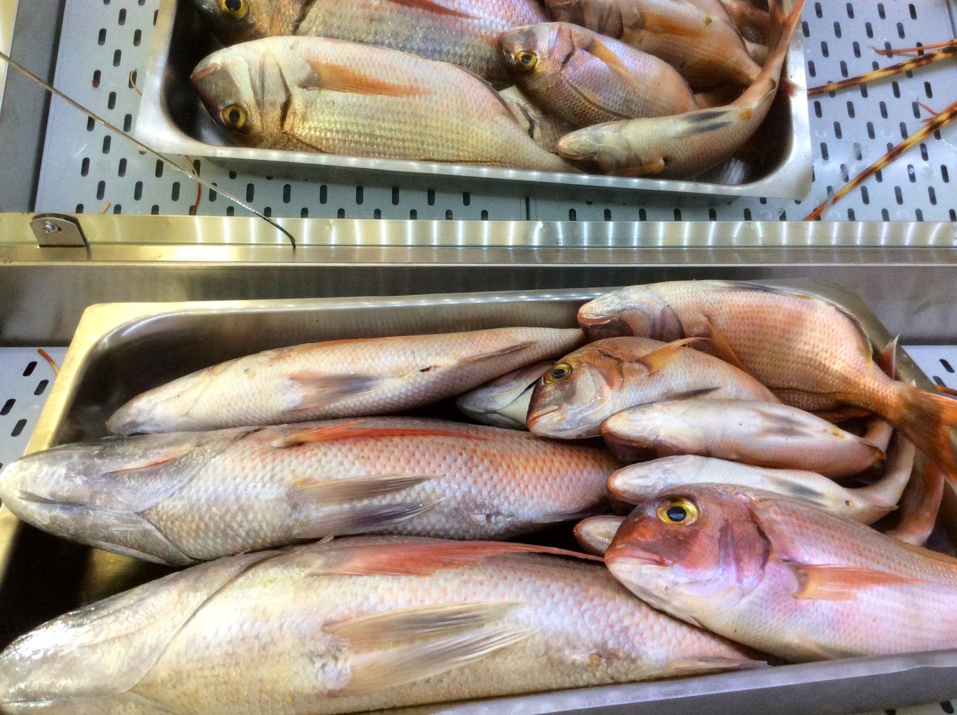 The sea fishing fishermen of Hydra Island Greece.