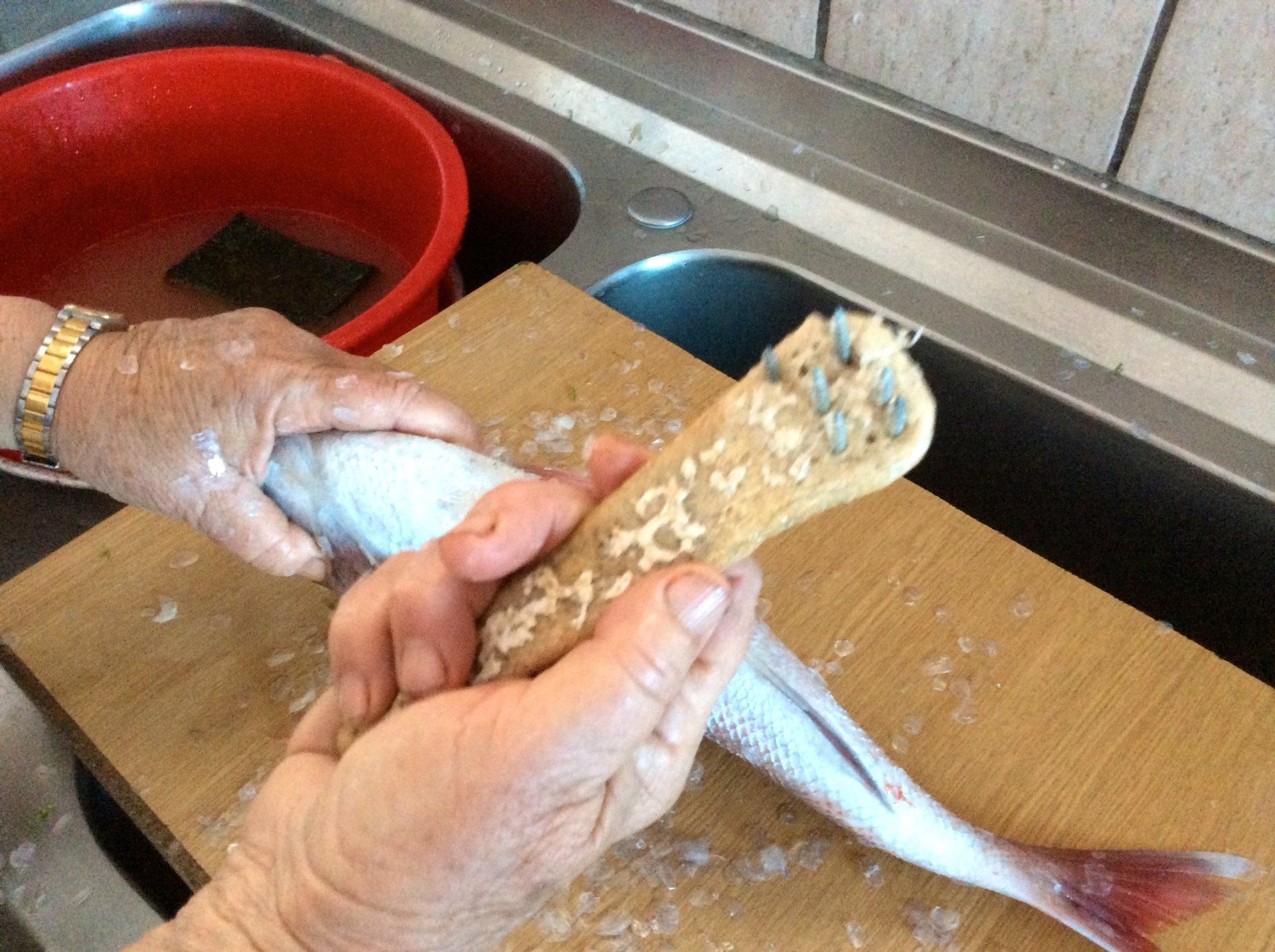 The sea fishing fishermen of Hydra Island Greece.