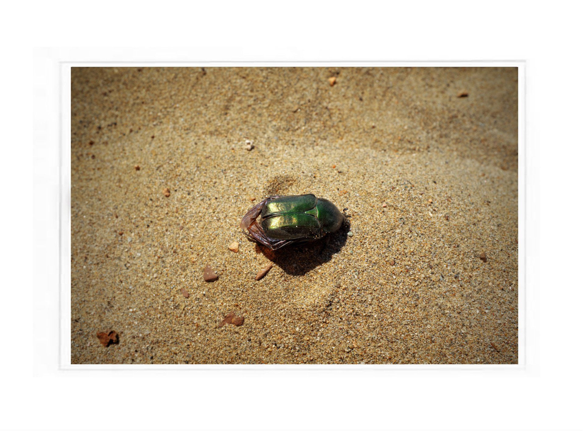 10 © Kleopatra Haritou Hydra Island Greece photography collection.