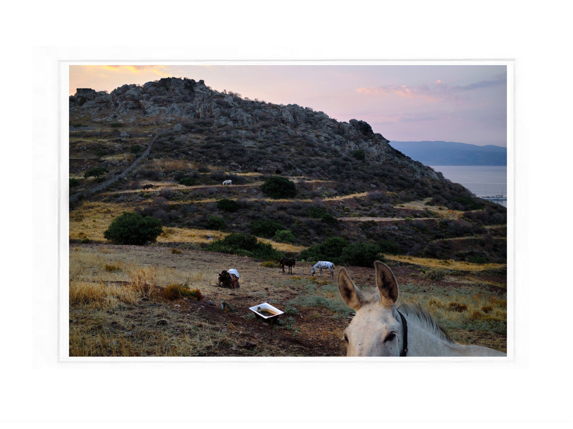 2 © Kleopatra Haritou Hydra Island Greece photography collection.