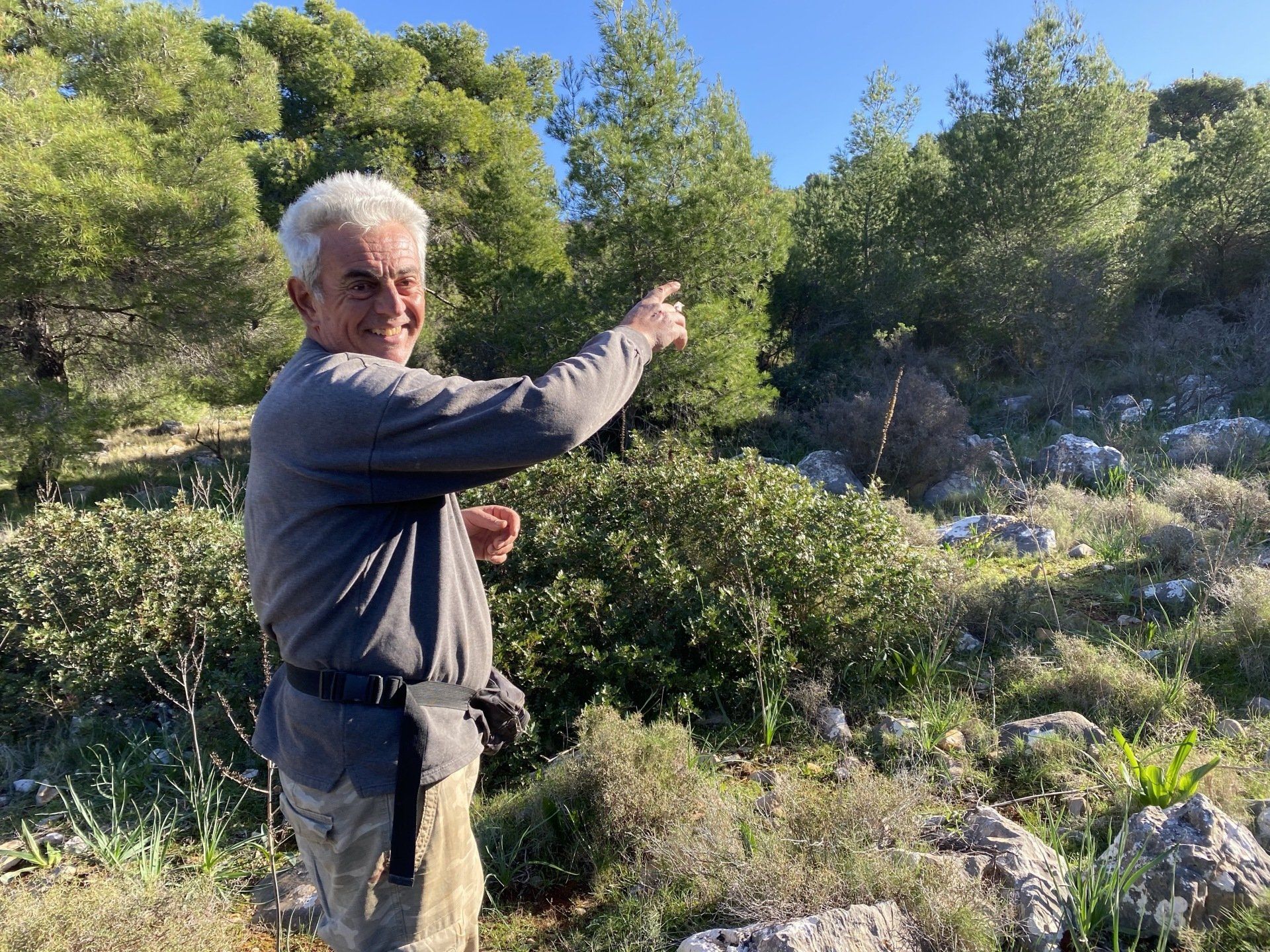Vassilis Vassilis Sarris mushroom picking on Hydra Island Greece.