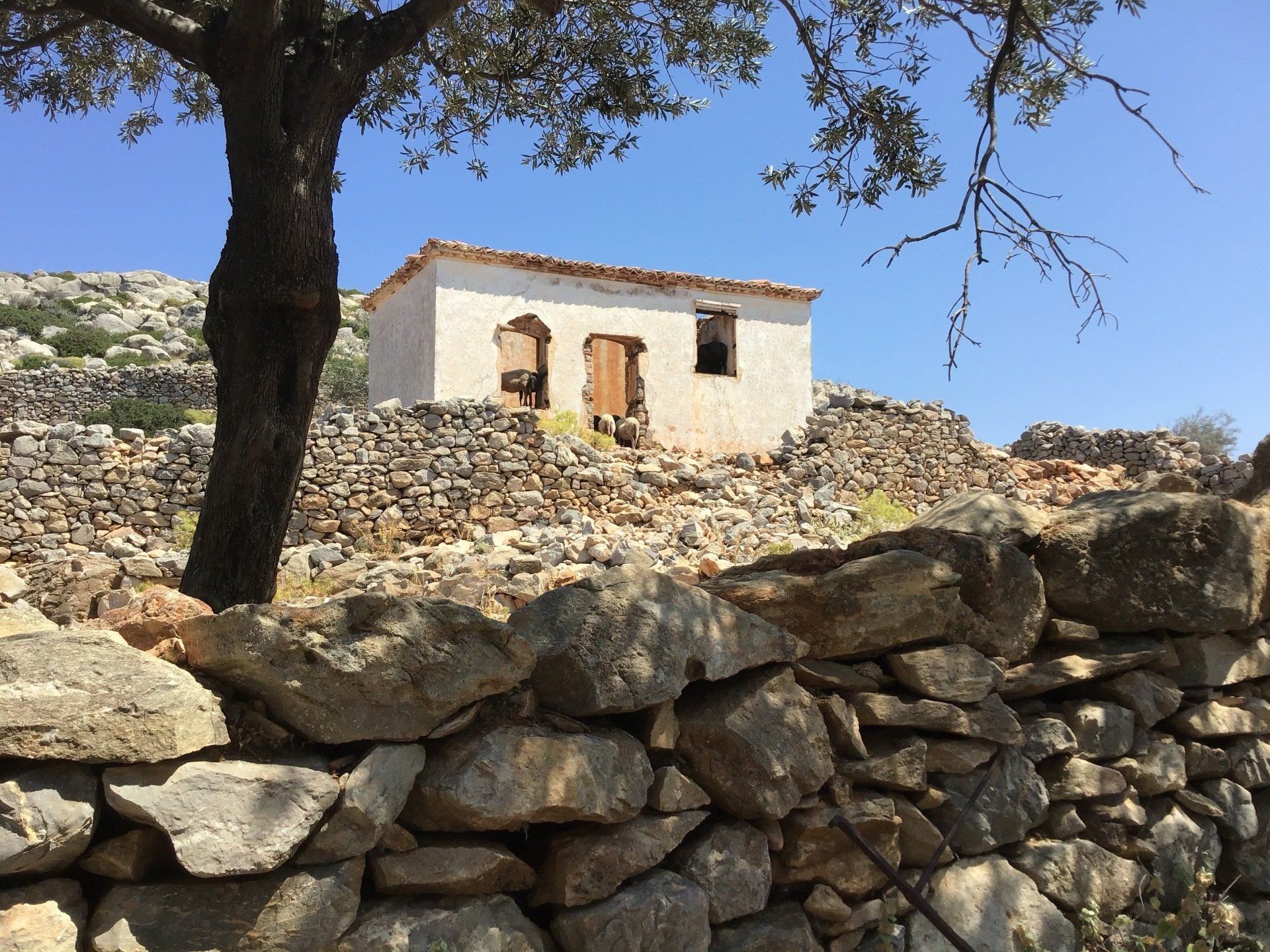 Views of Episkopi in the centre of Hydra Island Greece. A wonderful long walk on an off-season day with phenomenal views as a reward while you eat your picnic.