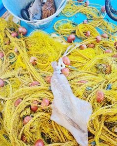 Fishing Trips on Hydra Island Greece with Dimitris and Hydra Fishing Trips