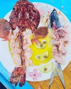 Fishing Trips on Hydra Island Greece with Dimitris and Hydra Fishing Trips