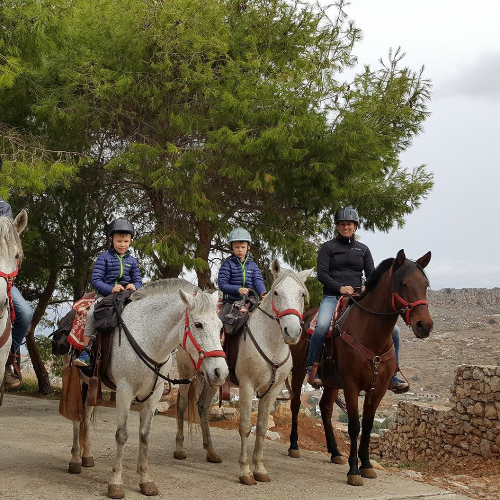 Horse Trekking Winter Holidays on Hydra Island Greece, HydraDirect