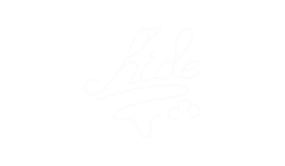 Logo Hide
