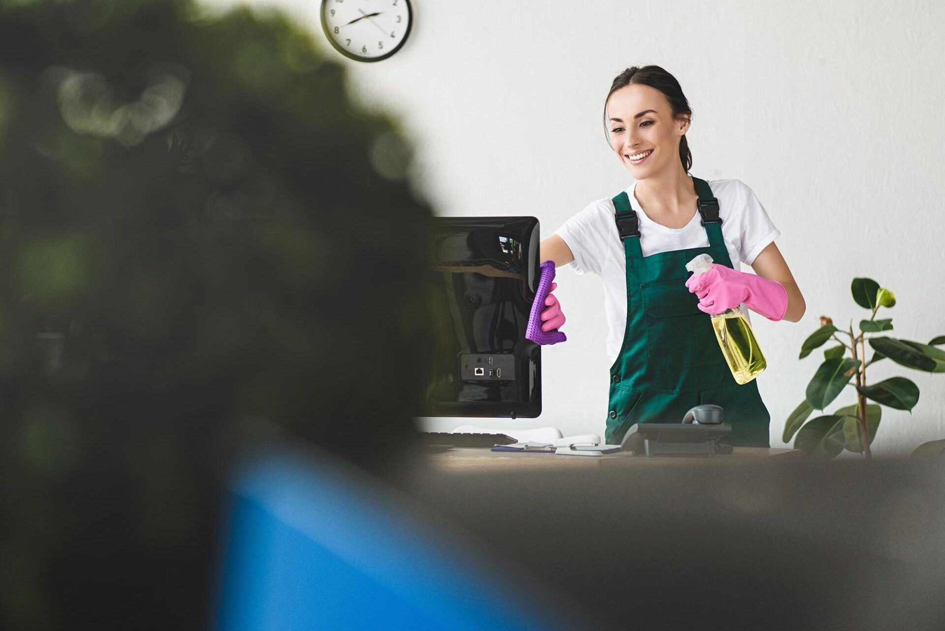 Ökologische Reinigungsmittel für Gewerbe , Hameln