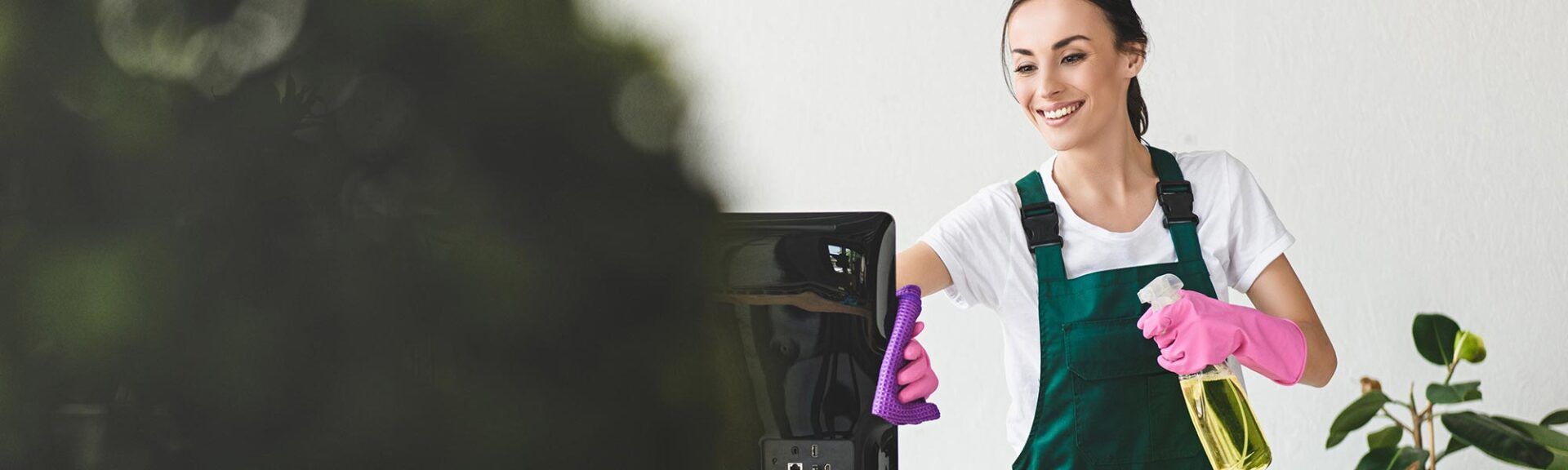 Ökologische Reinigungsmittel