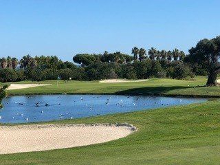 Platzreife Golf