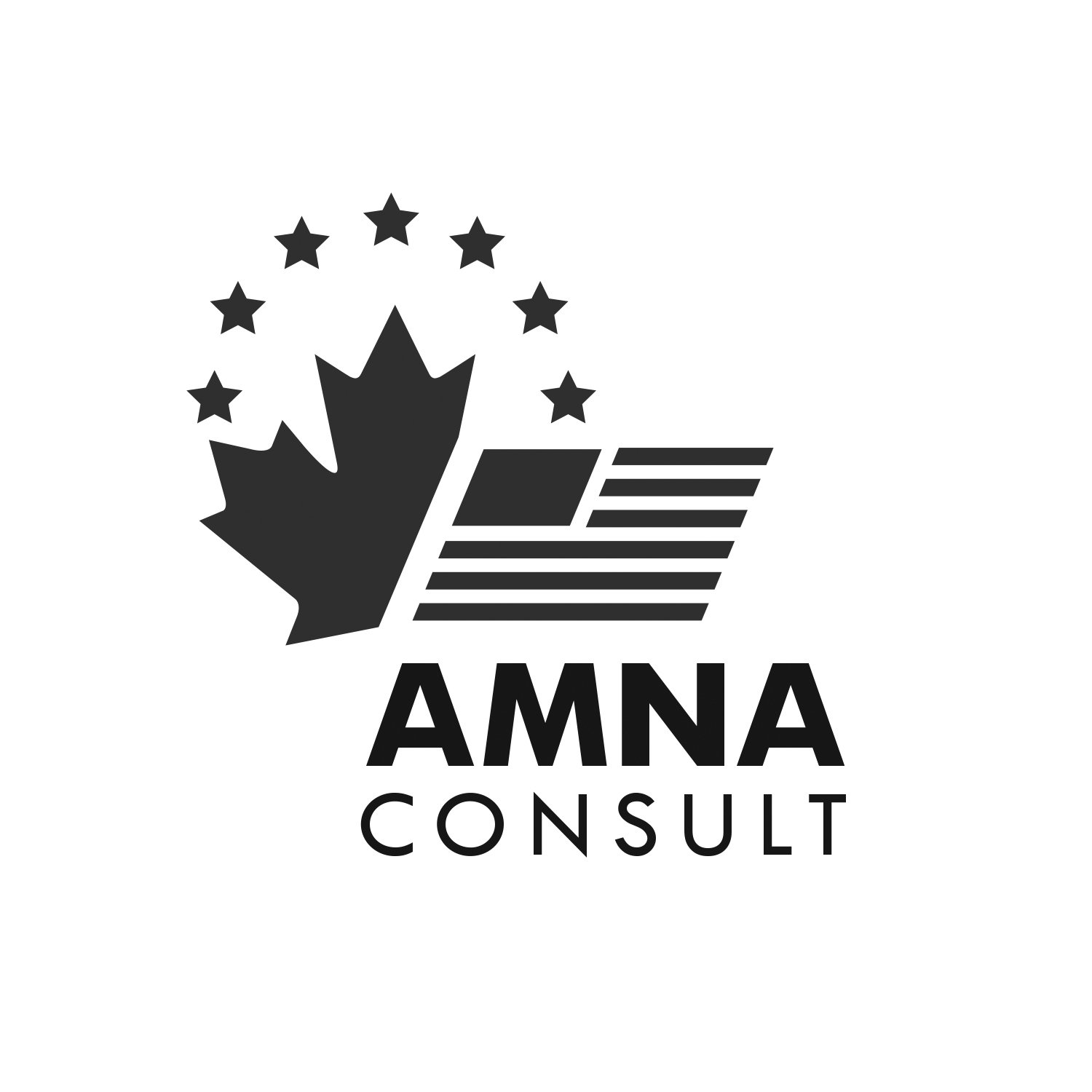AmNa Consult