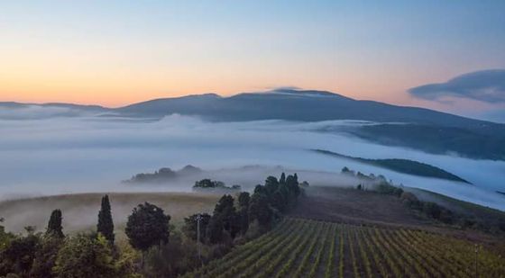 Dott.ssa Annamaria Di Costanzo Counseling