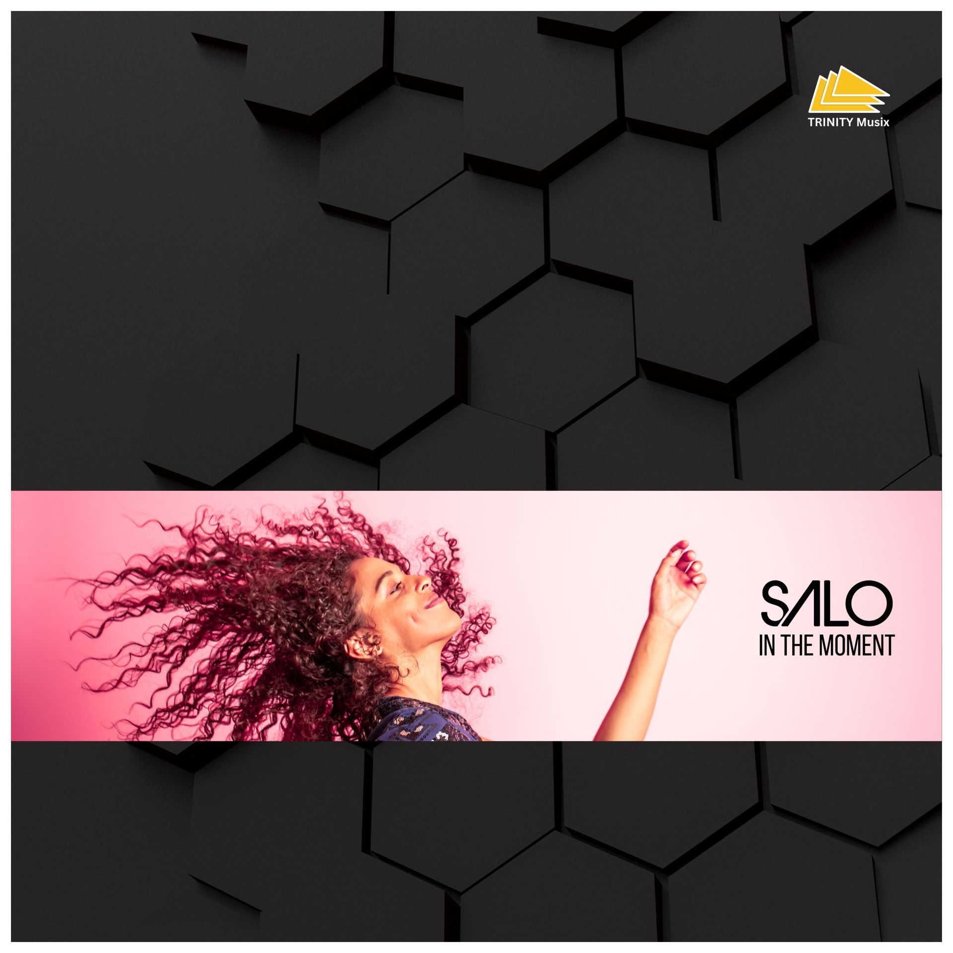 Onlinecover SALO - In The Moment