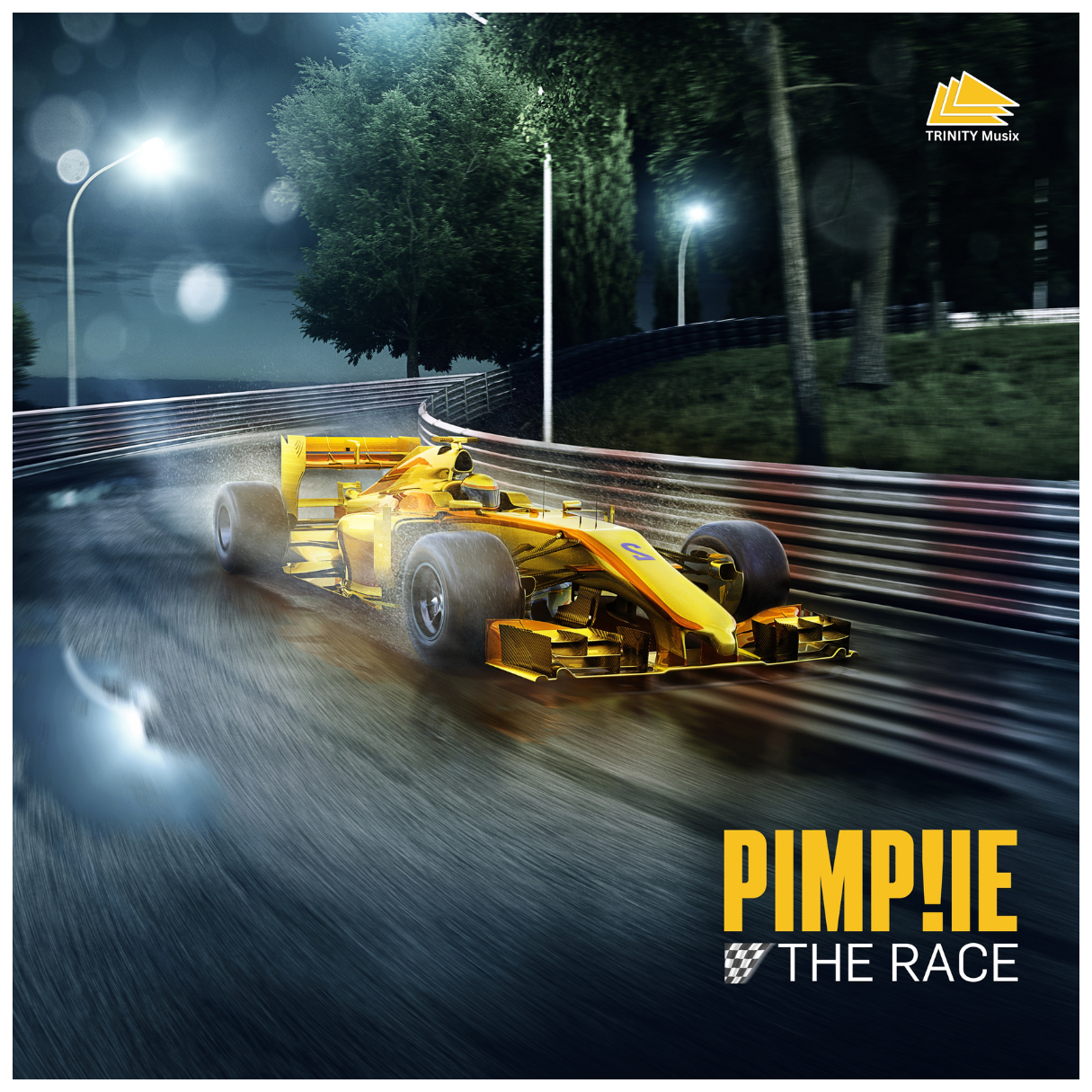 Onlinecover: PIMP!IE - The Race