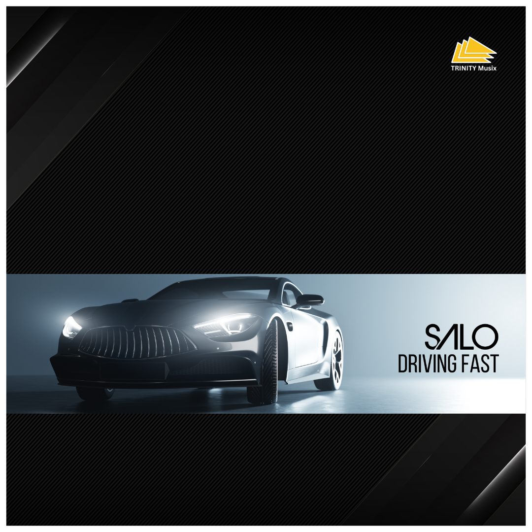 Onlinecover: Salo - Driving Fast