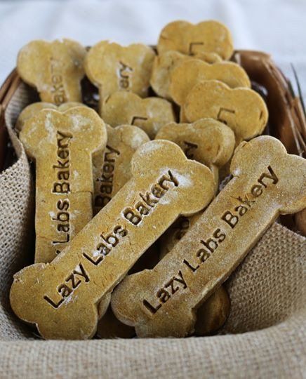 Lazy Labs Bakery