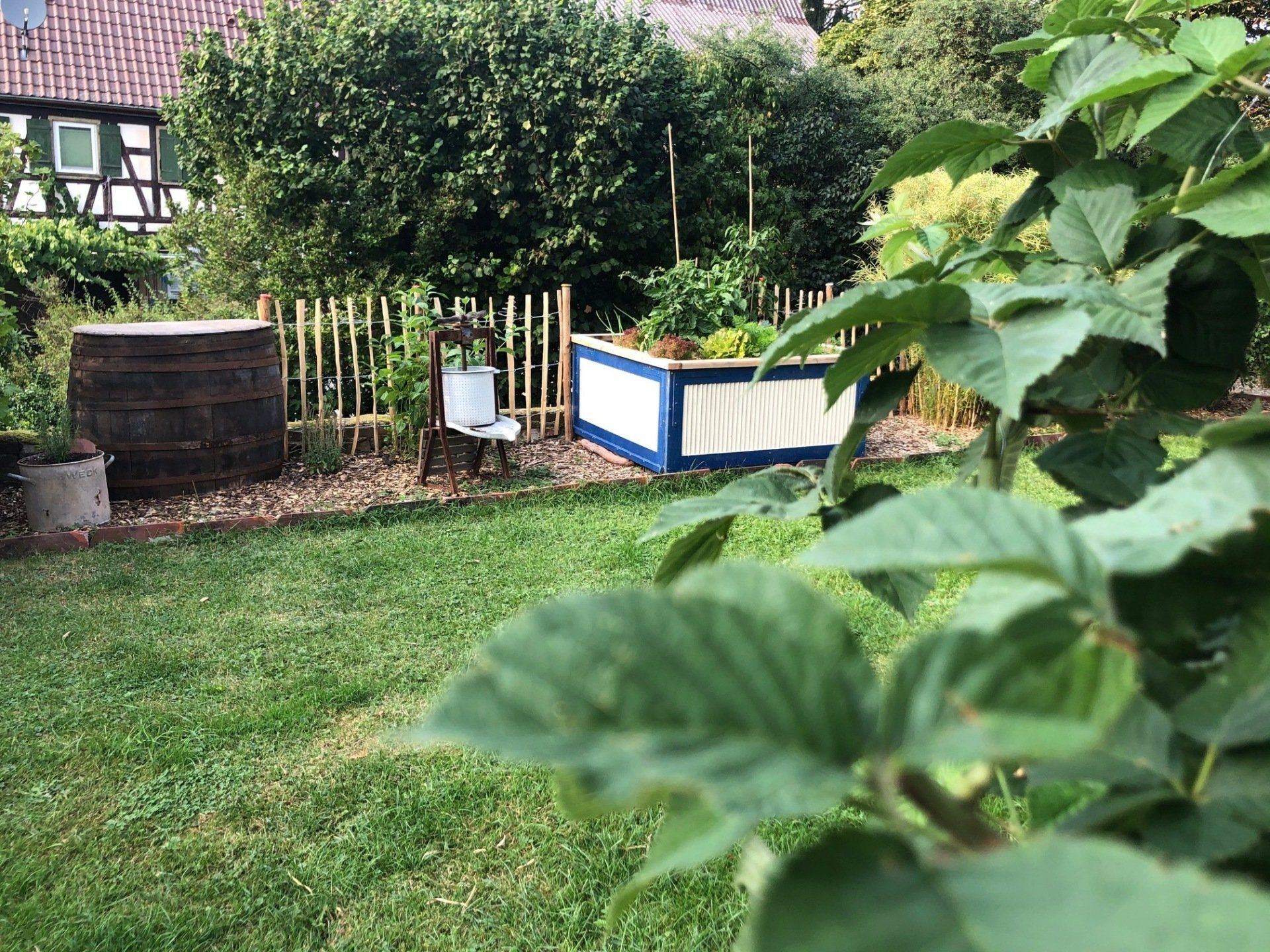 Garten