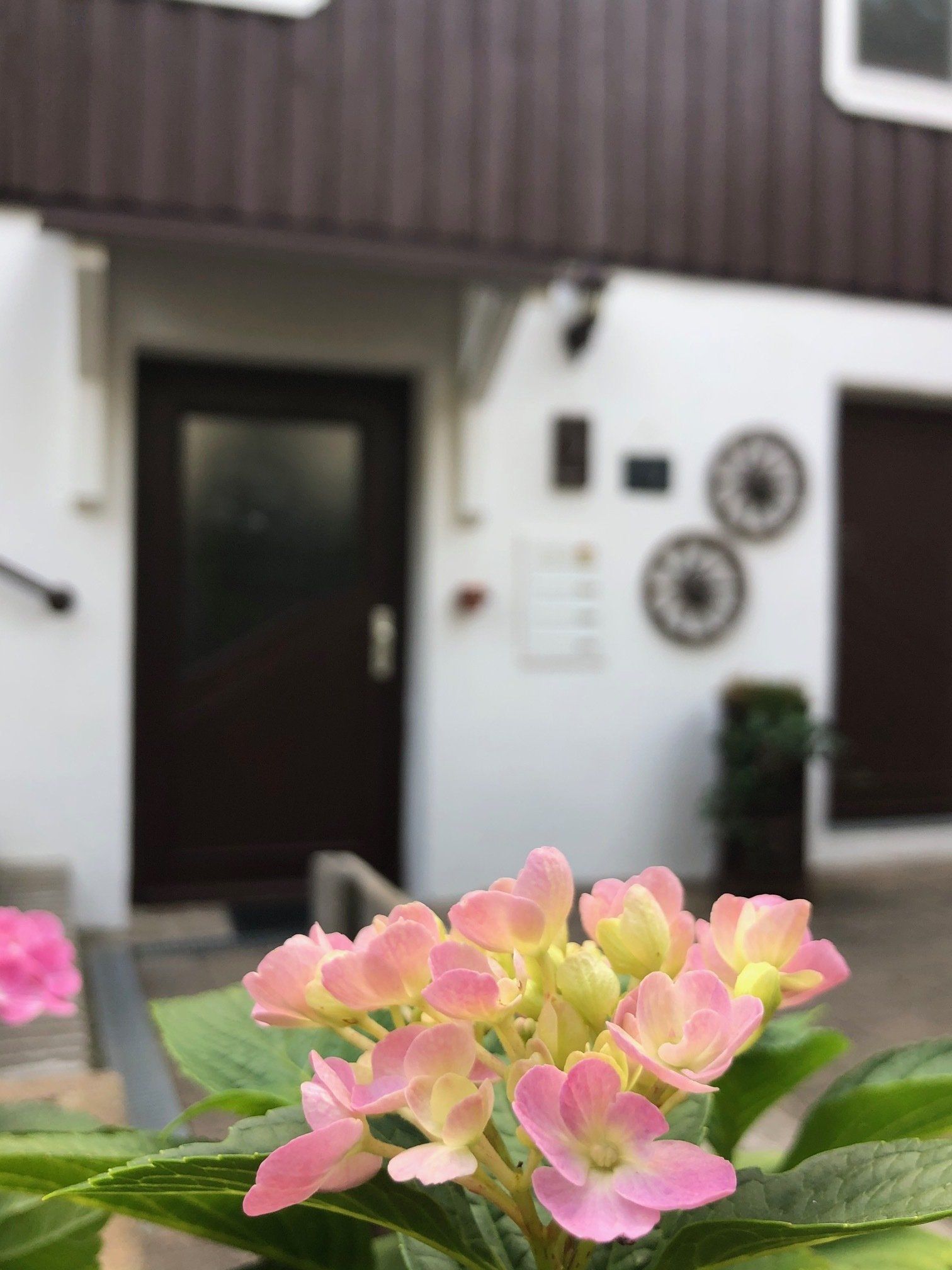 Blumen