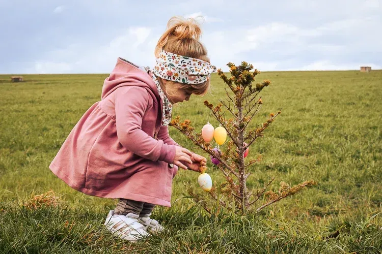 Sweatmantel Mädchen Kinder Sweatmantel Mädchen Kinder