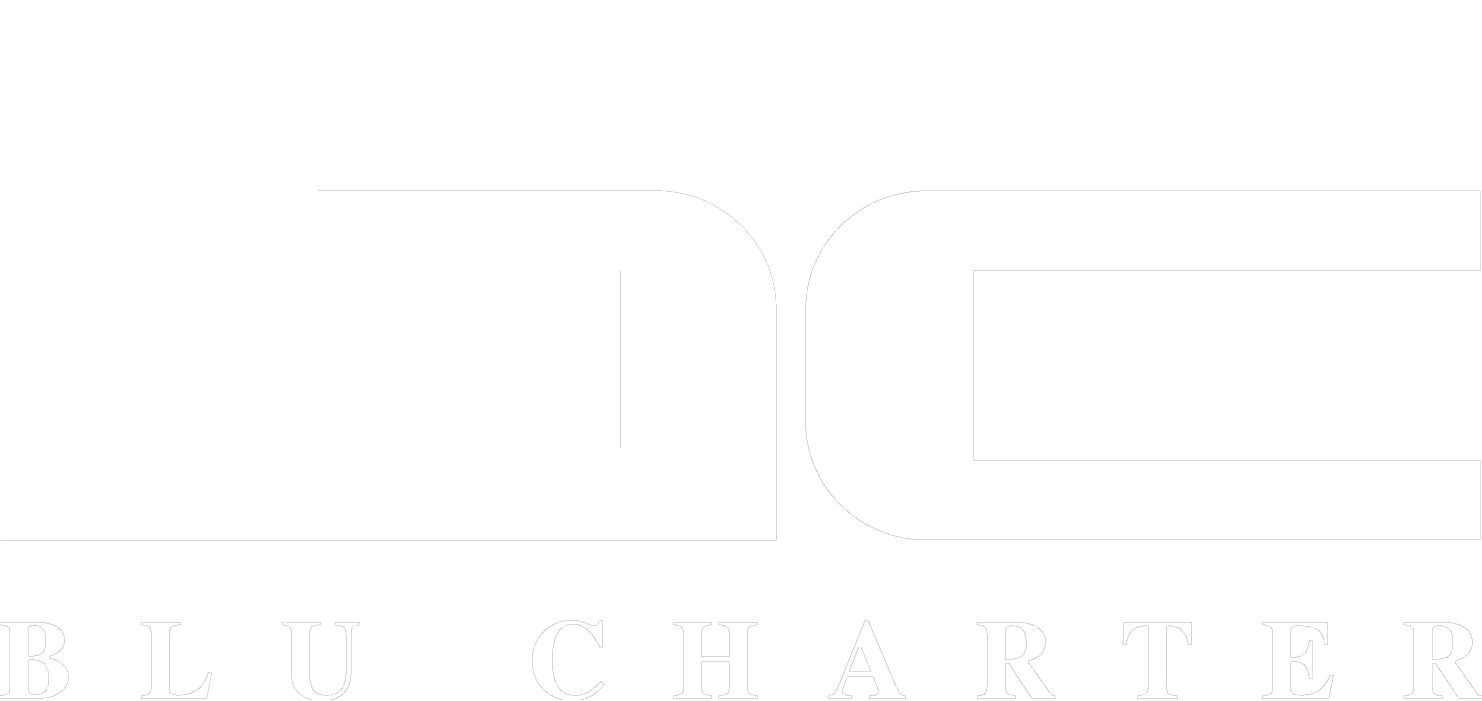 Blu Charter Logo