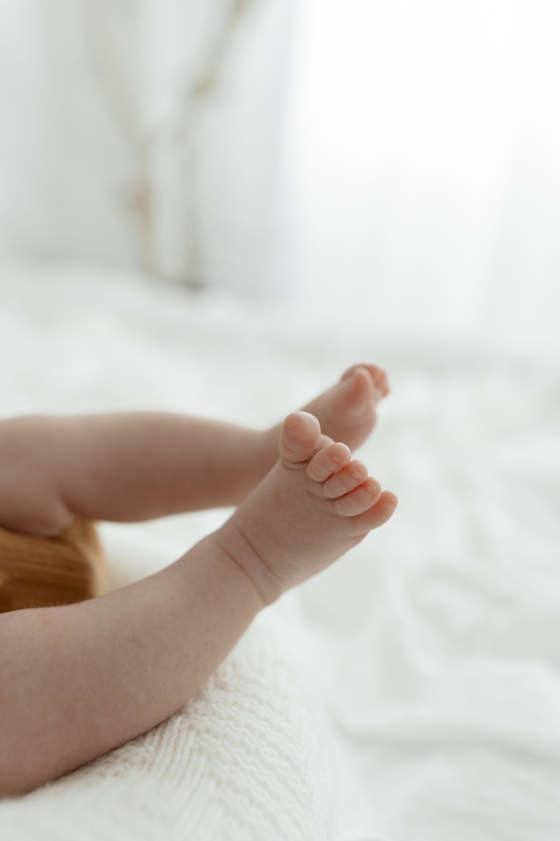 Natürliches Fotostudio in Untermeitingen bei Augsburg, Landsberg, Allgäu – liebevolle Babybauch und Newborn Fotografie