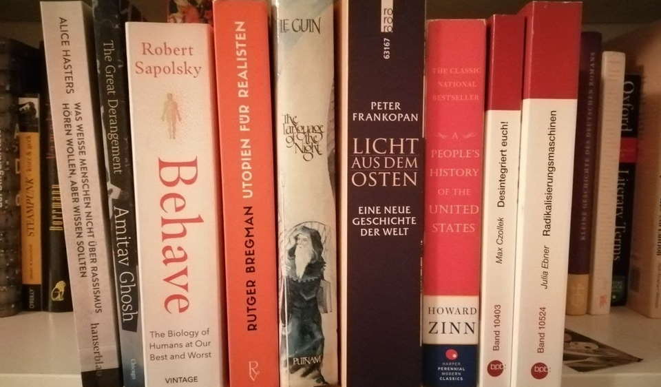 Die im Beiträg erwähnten Sachbücher im Regal.