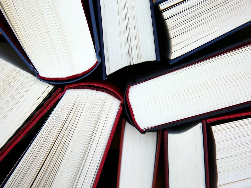 (c) Hermann Traub, Pixabay 9 Bücher, man sieht nur den Schnitt