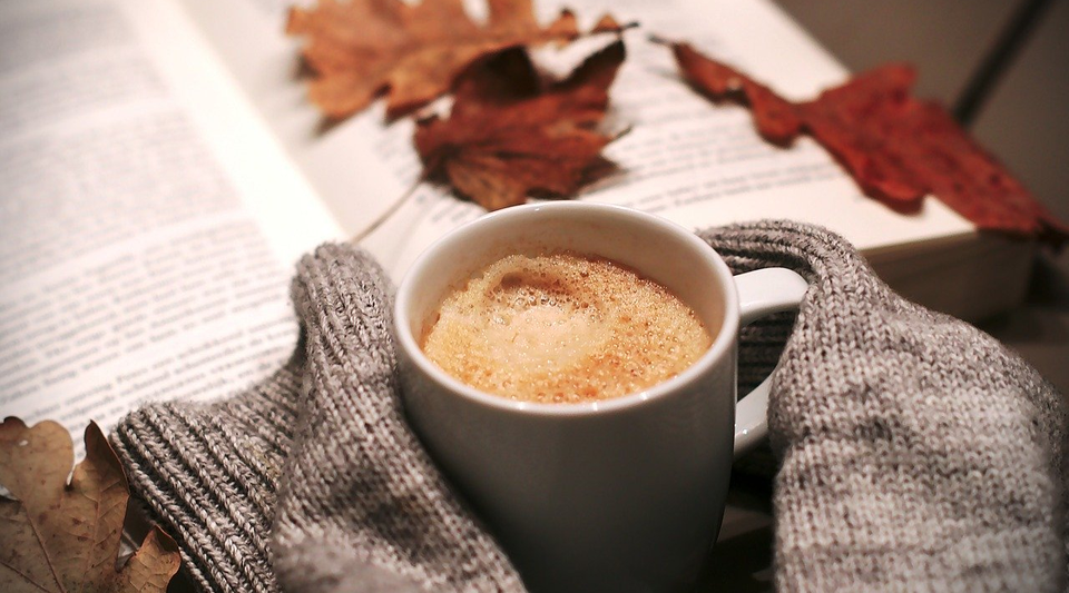 Kakao, Buch, Herbstblätter