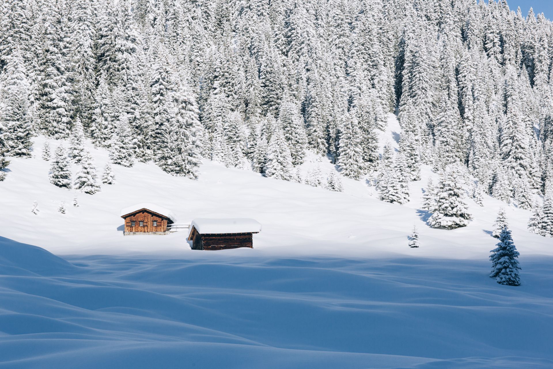 eingeschneite-alpställe-in-zug