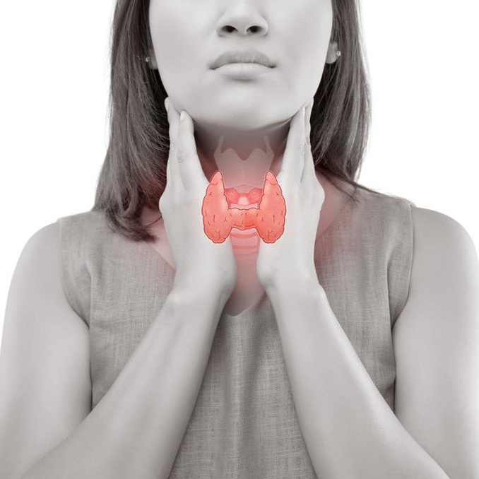 Las principales patologías de la tiroides