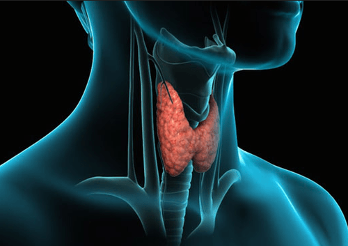 Nódulos tiroideos indeterminados- grado III Bethesda y grado IV Bethesda
