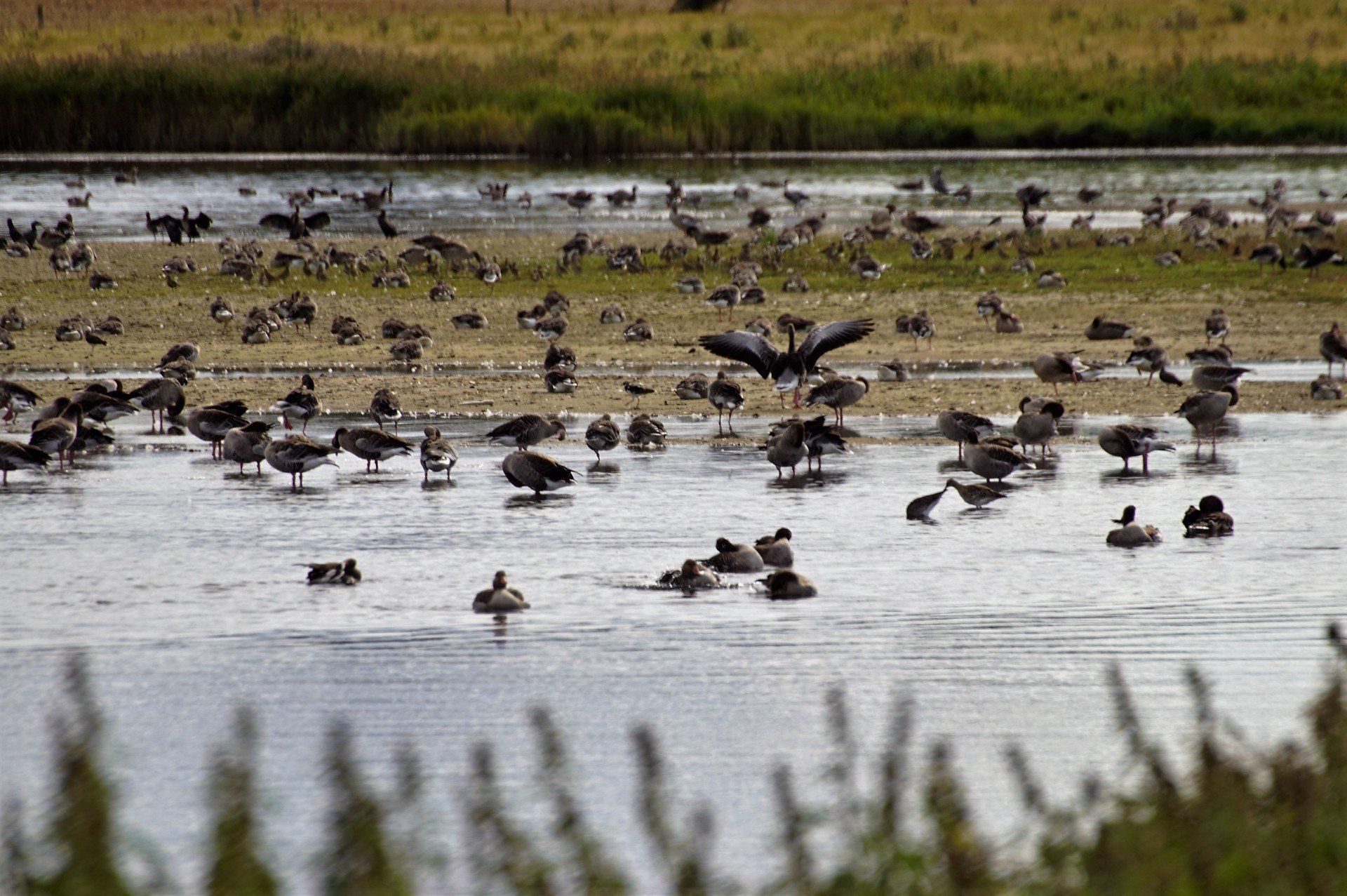 NABU-Naturschutzgebiet NABU-Naturschutzgebiet