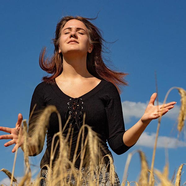 Roots Image Roots Image