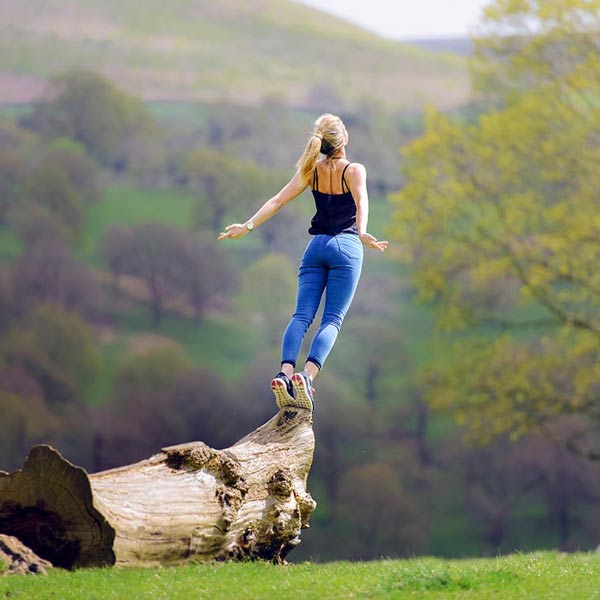 Roots Image Roots Image