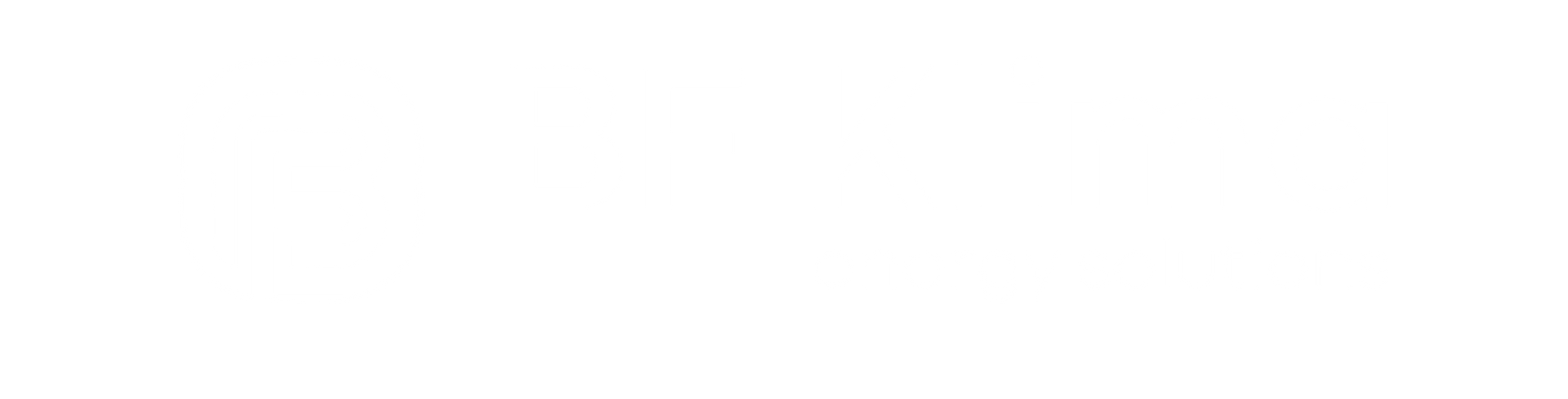 Logo BF Klima