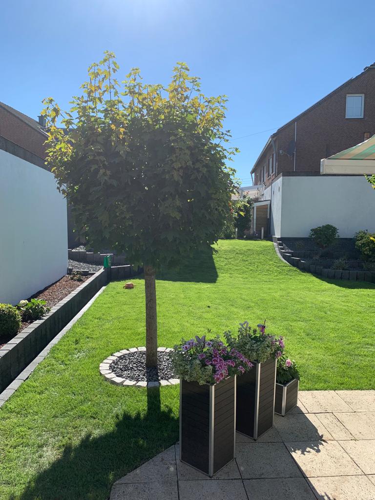 BE Gartenbau Galabau Garten und Landschaftsbau Gartengestaltung München Pflastersteine Pflasterarbeiten Plattenarbeiten Bepflanzung Rollrasen Rollrasen verlegen