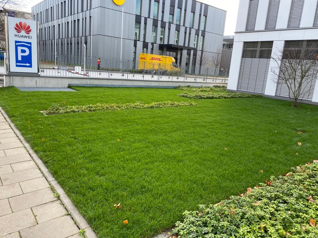 BE Gartenbau Galabau Garten und Landschaftsbau Gartengestaltung München Rollrasen verlegen Fertigrasen verlegen Kunstrasen verlegen 1