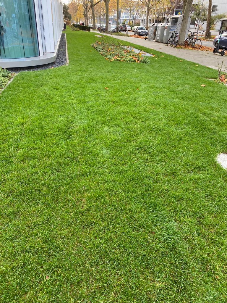 BE Gartenbau Galabau Garten und Landschaftsbau Gartengestaltung München Rollrasen verlegen Fertigrasen verlegen Kunstrasen verlegen