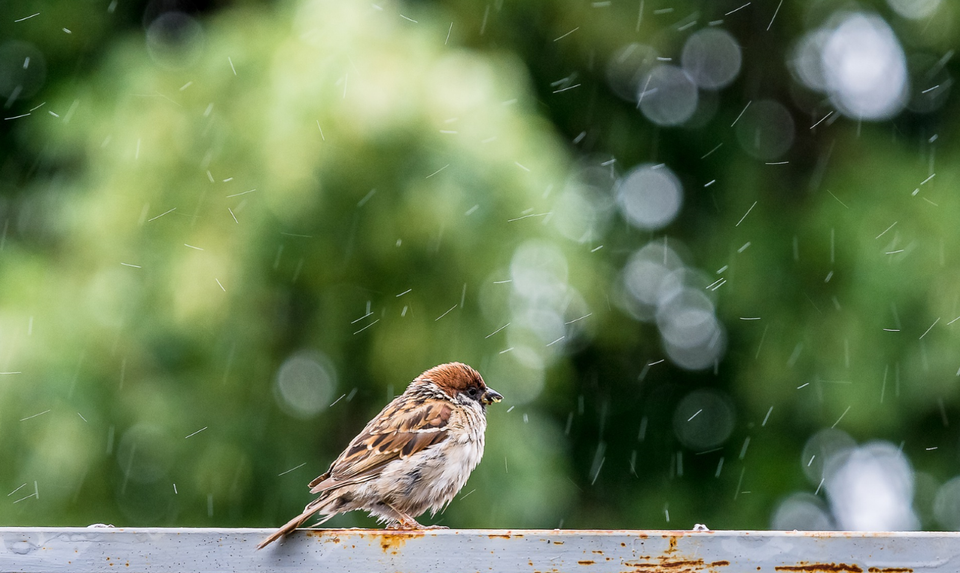 How to get your mojo back