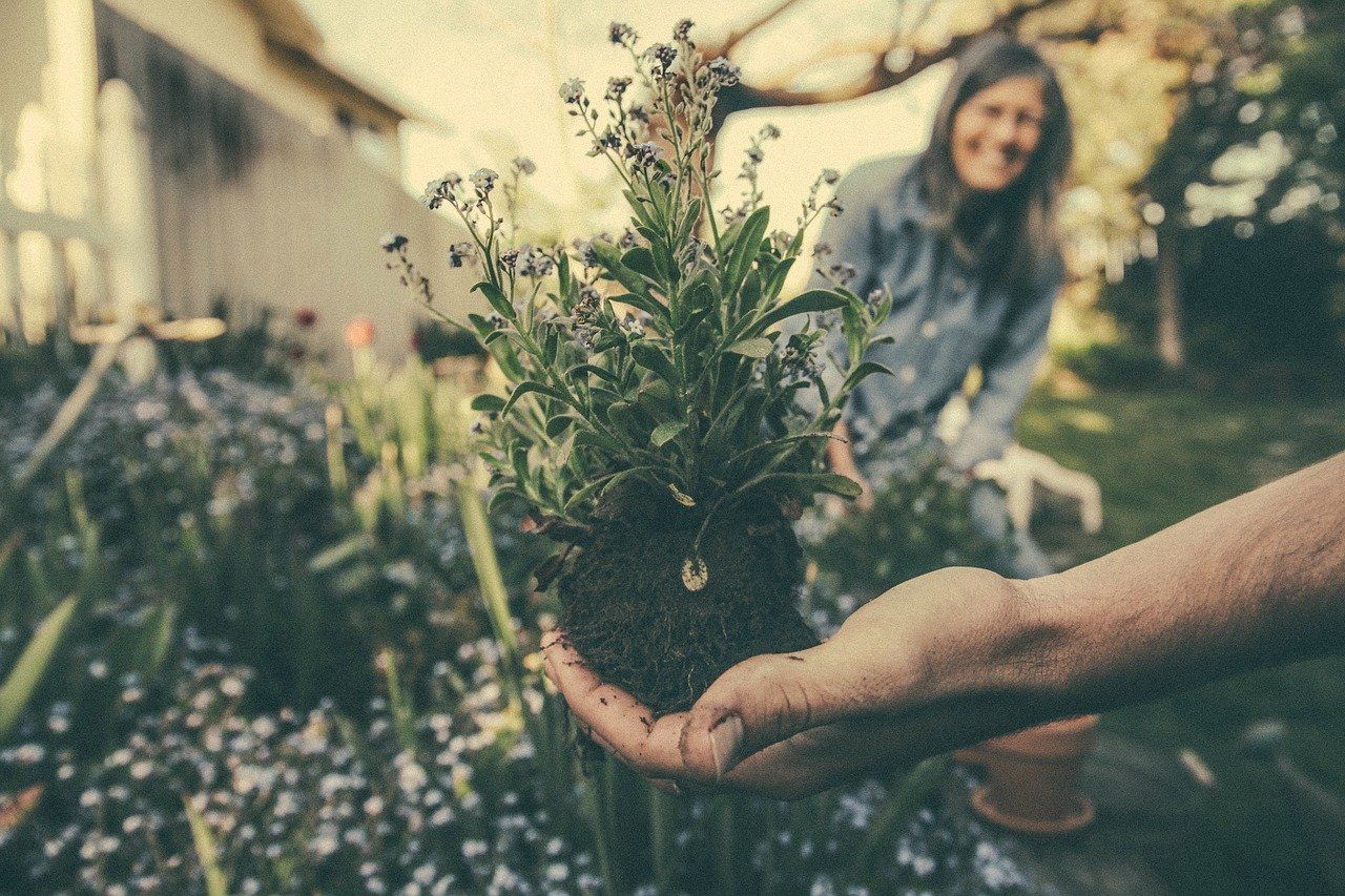 17 ways to grow your small business