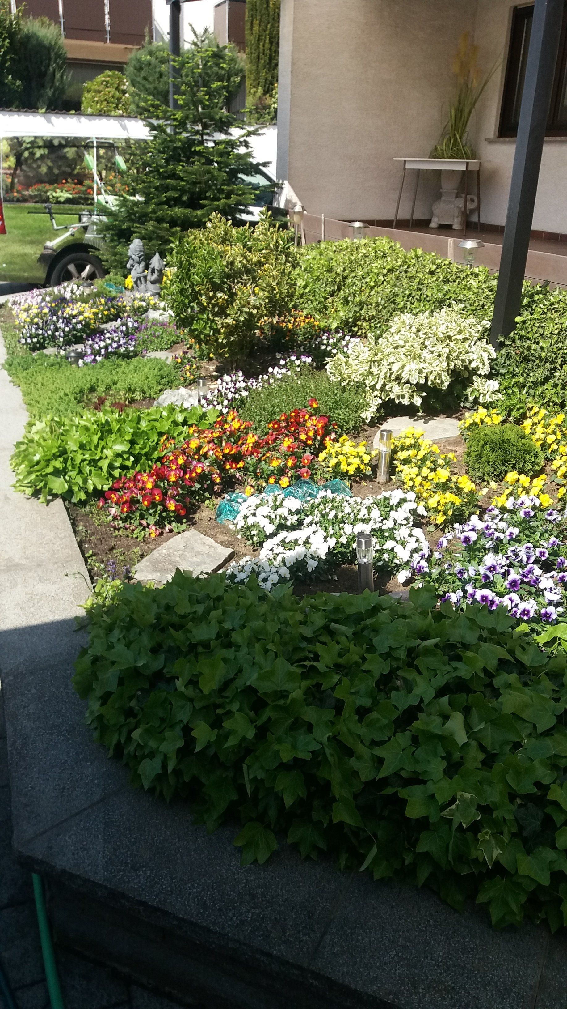 Gartenansicht, Gartenanlage