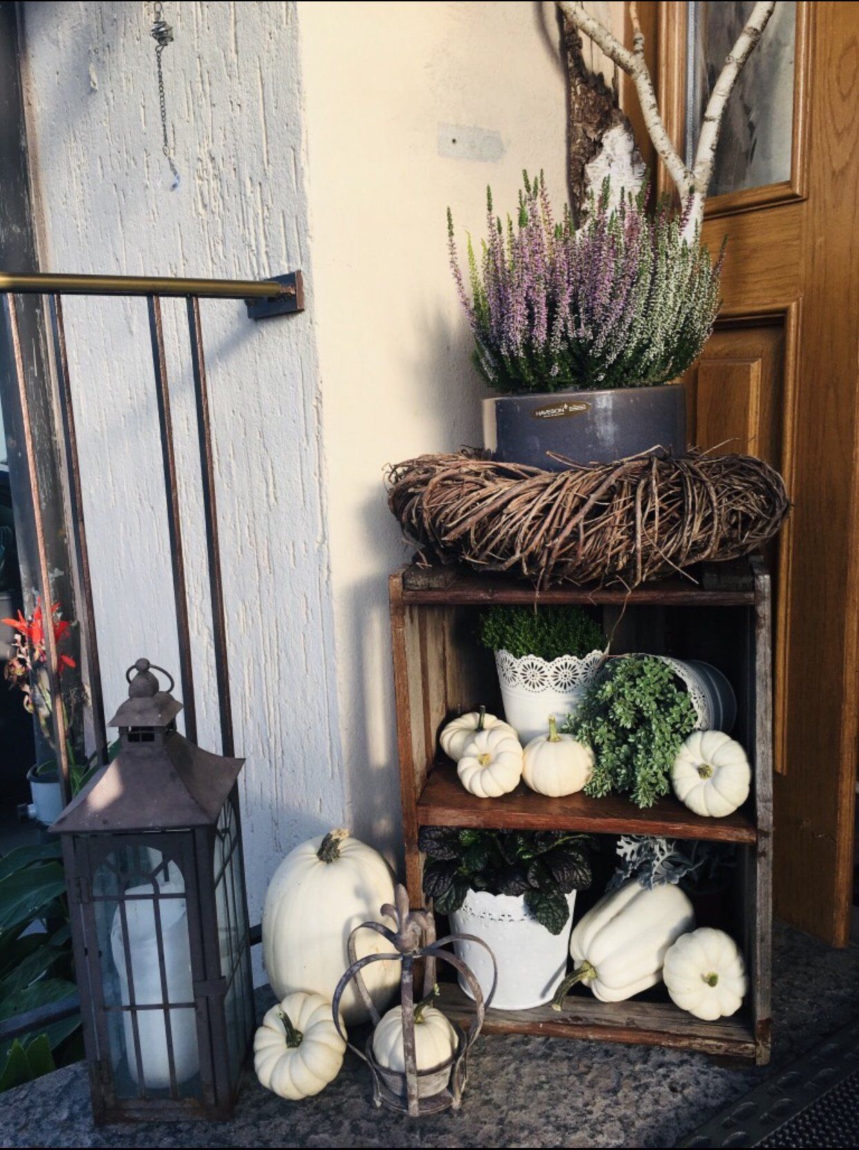 Weiße Kürbisse (Baby Boos)